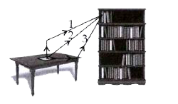 A book of mass m is lying on a table. It is then placed on the top shelf of a book rack by three different persons. The paths followed by the book as it is carried by three different persons is shown in the given figure.       The work done by the gravitational force on the book is maximum for