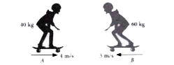 Two skaters A and B  are moving in opposite directions  such as they  collide head - on and immediately become entangled. Skater A has a mass of 40 kg and is  moving  with a velocity 4 m/s eastwards while the other skater B  has a mass of 60 kg  and is moving  with  a velocity 3 m/  westwards.  Assume that hte frictional force acting  between   the skaters and the  ground is  negligible          Which  one of the following  graphs depict linear momenta of bodies having  equal velociyt proportional to their  mass ?