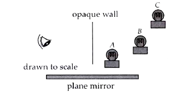 Three light bulbs are concealed from an observer by an opaque wall as shown. Without shifting the positions of the observer and the bulbs, how many bulbs can the observer see from the mirror? Which are those bulbs?