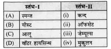 स्तंभ-I का स्तंभ-II से मेल करें और नीचे दिये गये कोड से सही विकल्प चुनें।