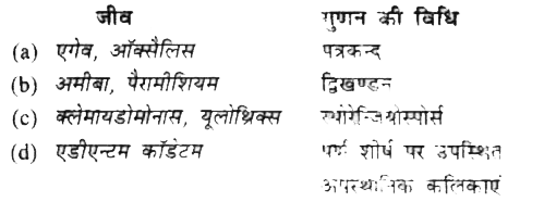 निम्न में से कौन-से जीव और उसके गुणन की विधि बेमेल है