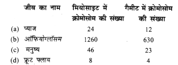 निम्न में से कौन-सा विकल्प जीवों का उनके मीयोसाइट और गैमीट में क्रोमोसोम की संख्या में गलत संबंध दर्शा रहा है?