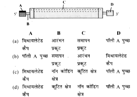 ocr_image