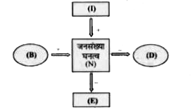 दिया गया चित्र समष्टि घनत्व (N) को प्रभावित करने वाले विभिन्न कारकों को दर्शाता है | यदि B = जन्म दर, D = मृत्यु दर, E = उत्प्रवासन तथा I = आप्रवासन है, तो इनके संबंध में गलत विकल्प को चुनें |