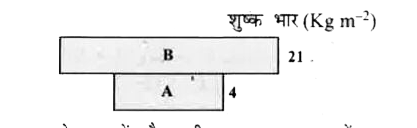 दिया गया चित्र एक जलीय पारितंत्र में जैवमात्रा के पिरैमिड को दर्शाता है।      A व B को पहचानें और सही उत्तर का चयन करें।   (i) A वह फसल है जो सहारा (सहायता) देती है और B वह फसल है जो सहारा (सहायता) लेती है।   (ii) A वह फसल है जो सहारा लेती है और B वह फसल है जो सहारा देती है।   (iii) A  पादप प्लवक और B जन्तुप्लवक हैं।   (iv)  जन्तुप्लवक और B पादप प्लवक हैं।