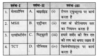 स्तम्भ-I (हॉर्मोन) को स्तम्भ-II (अंतःस्रावी ग्रंथि) एवं स्तम्भ-III (कार्य) के साथ मिलान करे तथा नीचे दिय गए कूटो से सही उत्तर को चुने।