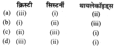 दिए गए कथनों को पढ़ें।   (a) क्लोरोप्लास्ट की पीठिका में चपटी झिल्लीदार थैलियाँ   (b) माइटोकॉण्ड्रिया में अन्तरवलन   (c) गॉल्गी उपकरण में तश्तरी के आकार की थैलियाँ   ऊपर दिए गए कूटों के आधार पर सही विकल्पों का चयन करें।