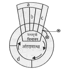 दिये गए चित्र में कोशिका चक्र की अवस्थाओं/प्रावस्थाओं को छोटे-छोटे आरेख द्वारा दर्शाया गया है, इसके बारे में सही विकल्प का चुनाव कीजिए।