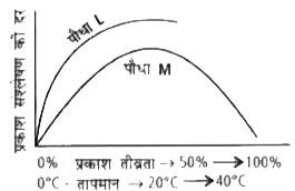 जब दो पौधों L व M को प्रकाश की भिन्न-भिन्न तीव्रताओं एवं तापमानों पर रखा गया, तो उन्होंने प्रकाश संश्लेषण की दर में परिवर्तन को दिखाया, जिसे नीचे दिए गए वक्र द्वारा दर्शाया गया है-       वक्र दर्शाता है कि-