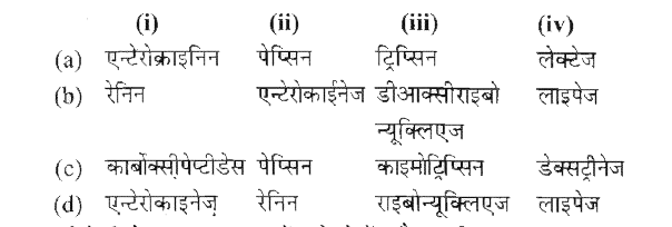 रिक्त स्थानों की पूर्ति सही एन्जाइम से करें जो निम्न में आवश्यक परिवर्तन लाता है।      (i) ट्रिप्सिनोजन overset(?)(to) ट्रिप्सिन      (ii) केसीन oveset(?)(to) पैराकेसीन + व्हे प्रोटीन्स     (iii) RNA overset(?)(to) राइबोन्यूक्लियोटाइड्स       (iv) ट्राईग्लिसराइड्स overset(?)(to)  वसीय अम्ल + ग्लिसरॉल