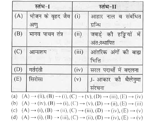 दो स्तंभों का मिलान करें और दिये गये विकल्पों से सही विकल्प चुनें।