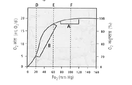 दिये गये ग्राफ को देखें और नीचे दिये गए प्रश्नों के सही विकल्प चुनें।            निम्न में से ग्राफ में दर्शाये गए D, E व F क्षेत्रों के लिये कौन-सा कथन सही है?