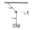 5 किग्रा द्रव्यमान के किसी गुटके को छत से 2 मी लम्बी डोरी से लटकाया गया है। डोरी के मध्यबिन्दु P पर चित्र में दिखाए गए अनुसार क्षैतिज दिशा में 50 न्यूटन बल लगाया जाता है। साम्यावस्था में डोरी, ऊर्ध्वाधर से कितना कोण बनाती है?   (g = 10 मी/सेकण्ड