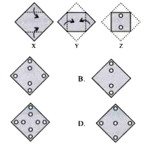 The given question consists of a set of three figures X, Y and Z showing a sequence of folding of a piece of paper. Fig. Z shows the manner in which the folded paper has been cut. Choose a figure from the options which would most closely resemble the unfolded form of piece of paper.