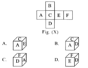 The sheet of paper shown in Fig. (X) is folded to form a box. Choose the box from the options that will not be formed.