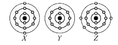 The schematic atomic structures of three elements X, Y and Z are given as :      Which of the following statements is/are incorrect?    I. Z can form ZCl(3) and ZCl(5).    II. Y exists in monoatomic form.    III.  X and Z combine to form X(3)Z type compound.    IV. X and Y combine to form XY(2)  type compound.    V. X will gain two electrons to form a stable compound.