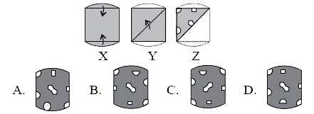 The question consists of a set of three figures X, Y and Z showing a sequence of folding of a piece of paper. Fig. (Z) shows the manner in which the folded paper has been cut. Select a figure from the options which would most closely resemble the unfolded form of Fig. (Z).