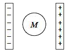 The diagram shows a conducting  sphere M between two oppositely charged metal plates.    What would be the resulting charge distribution on sphere M?