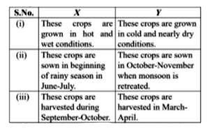 Identify crops X and Y from the given table and select  the correct option regarding them.