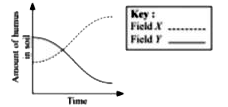 Two different fields X and Y were treated with two different substances to increase crop yield. Amount of humus in their respective fields was observed for a period of time as shown in the given graph.       Select the incorrect statement regarding substances applied in both fields X and Y.