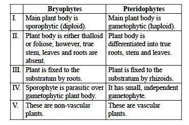 The given table represents differences between bryophytes and pteridophytes. Identify the correct ones.