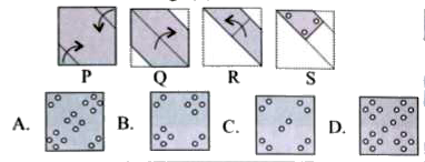 The given question consists of a set of four figures P, Q, R and S showing a sequence of folding of a piece of paper. Fig. (S) shows the manner in which the folded paper has been cut. Select the figure from the options which would most closely resemble the unfolded form of Fig. (S)