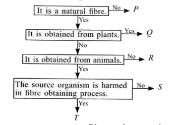 Refer to the given flow chart and select the correct statement regarding P, Q, R, Sand T      (i) Q is cellulosic whereas S is proteinaceous in nature.   (ii) S could be obtained from a viviparous animal whereas T could be obtained from an oviparous animal with four stages in its life cycle.   (iii) P and S are non-biodegradable fibres.   (iv) P and R are petroleum based fibres.   (v) Organisms providing S generally inhabit desert lands whereas those providing Q generally inhabit polar regions.