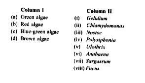 Match column I with column II and select the correct option from the given codes. (There can be more than one match for column I.)