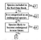 Refer to the given flow chart and select the correct option regarding P, Q, R and S.