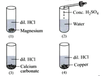 Observe the given figures showing the mixing of chemicals in four different test tubes.       Which of the following statements is/are correct?   I. H2 gas is evolved in test tube (I).   II. Test tube (2) will burst as a large amount of heat is evolved.   III. No reaction takes place in test tube 3.   IV. In test tube 4, yellowish-green chlorine gas is evolved.