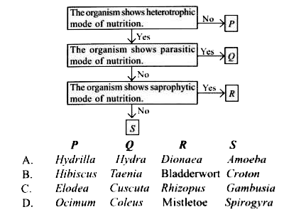 Refer to the given flow chart and select the option that correctly identifies organisms P, Q, R and S.