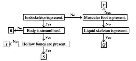 Refer to the given flow chart and select the incorrect option regarding organisms P, Q, R, S and T.