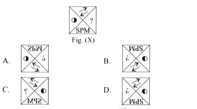 Select the correct water image of Fig. (X).