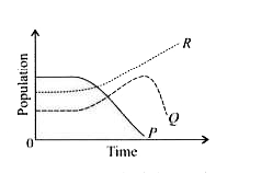 Small population of three organisms P, Q and R were reared in captivity for sometime. The given graph shows changes in their populations over time.      Study the graph and select the correct statements regarding organisms P, Q and R.   (i) could be a heterotroph whereas P and R could be autotrophs.   (ii) Q is a herbivore that feeds exclusively on P.   (iii) If population of R is removed from this community, then population of P will decrease whereas that of Q will increase.   (iv) P is a carnivore, Q is a herbivore whereas R is an omnivore that feeds on both P and Q.   (v) R is the predator of P which in turn is the predator of Q.