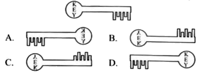 Select the correct water image of the given figure.