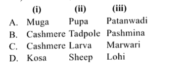 Pick the odd one out from each series given below and select the correct option.      (i) Muga, Kosa, Cashmere, Tussar (ii) Larva, Pupa, Silk moth, Tadpole (iii) Patanwadi, Marwari, Pashmina, Lohi