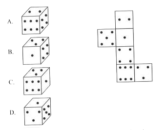 Choose the box that is similar to the box formed when the given sheet is folded.