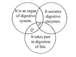 Refer to the given Venn diagram.          Identify P and Q and select the correct statement.