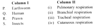 Match column I with column II and select the correct option from the given codes.