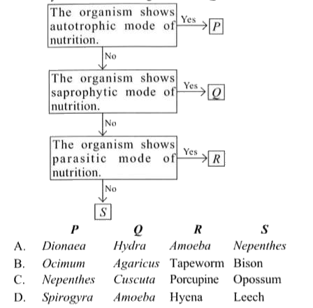 Study the given flow chart and select the option that correctly identifies the organisms P. O. R and S.