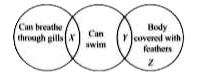 Refer to the given Venn diagram and select the correct option regarding animals X, Y and Z.