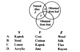 Study the given Venn diagram and select the option that correctly identifies X, Y and Z.