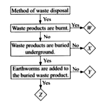 The given flow chart represents various methods of waste disposal. Identify W, X, Y and Z and select the incorrect option regarding them.