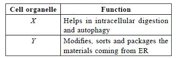 Refer to the given table and select the incorrect statement regarding organelles X and Y.