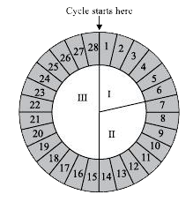 Learn Body Literacy • #FAMTaughtMe on X: WEEK 4: LUTEAL PHASE [AUTUMN] -  Remember that the luteal phase is typically 2 weeks long. Although it is  considered week 4 for the purposes