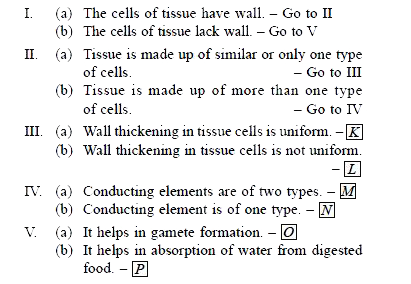 Refer to the given dichotomous key. Identify K, L, M, N, O and P and select the incorrect statement regarding them.