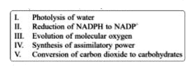 Which of the following events do not occur during the light reaction of photosynthesis?