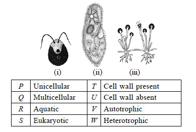 Identify the given organisms (i)-(iii), match them with their peculiar features as shown in the table and select the option with all the correct matches.