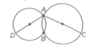 Two circles intersect at two points A and B. If AD and AC are diameters of the circles, then which of the following steps is INCORRECT in order to prove that B lies on the line segment DC?   (P) Join AB.   (Q) angleABD=90^(@) and angleABC=90^(@) (Angle in semicircle)   (R ) angleABD+angleABC=360^(@)   (S) DBC is a straight line segment. Hence B lies on the line segment DC.