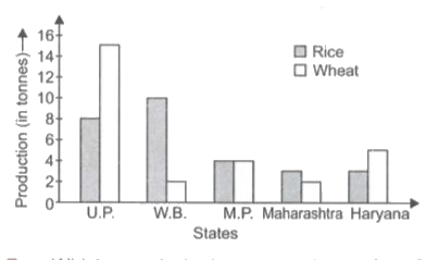 Study the given bar graph carefully and answer the questions given below      Which state has the total production of rice and wheat as its maximum?